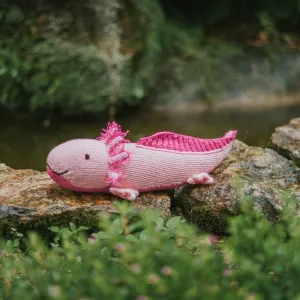 Axolotl