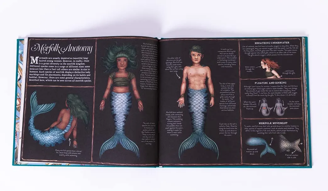 Emily Hawkins: A Natural History of Mermaids, illustrated by Jessica Roux