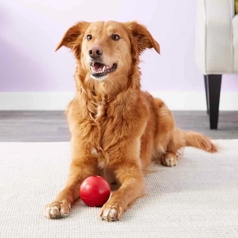 KONG Ball Toy