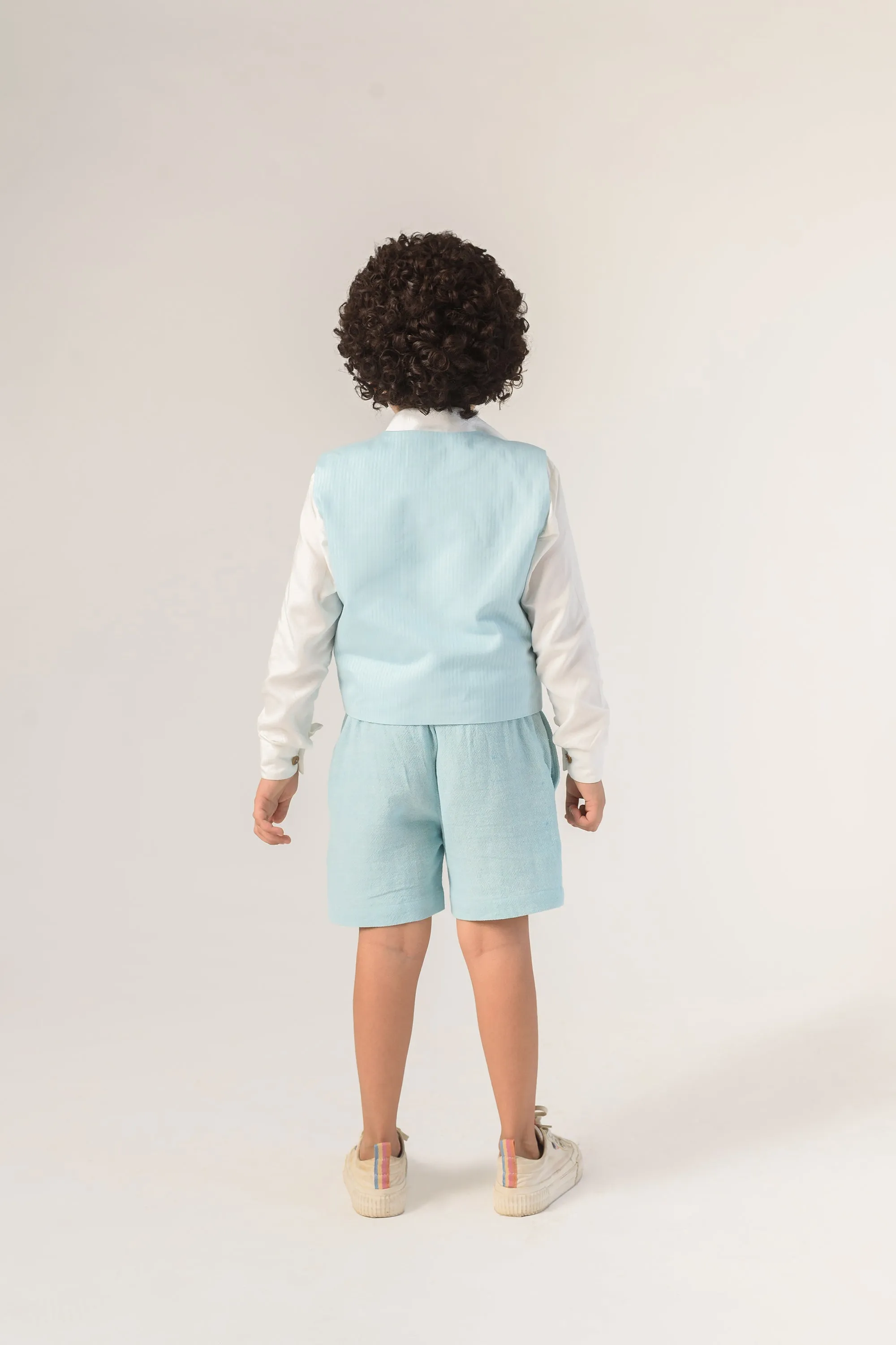 Regular Fit Shorts- Organic Cotton Blue Shorts For Boys