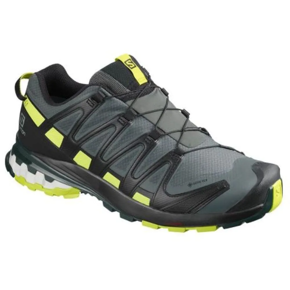 Salomon Men's XA Pro 3D V8 GTX Shoes