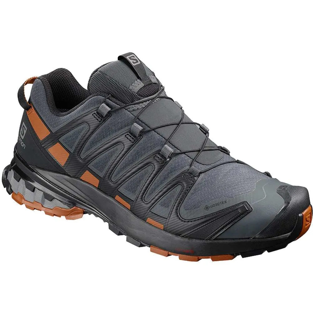 Salomon Men's XA Pro 3D V8 GTX Shoes