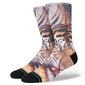 Stance Two Tigers Crew Socks - Black